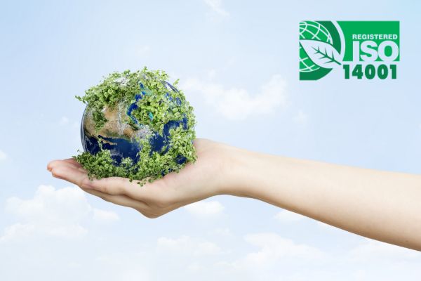 curso-sistema-de-gestion-medioambiental-iso14001