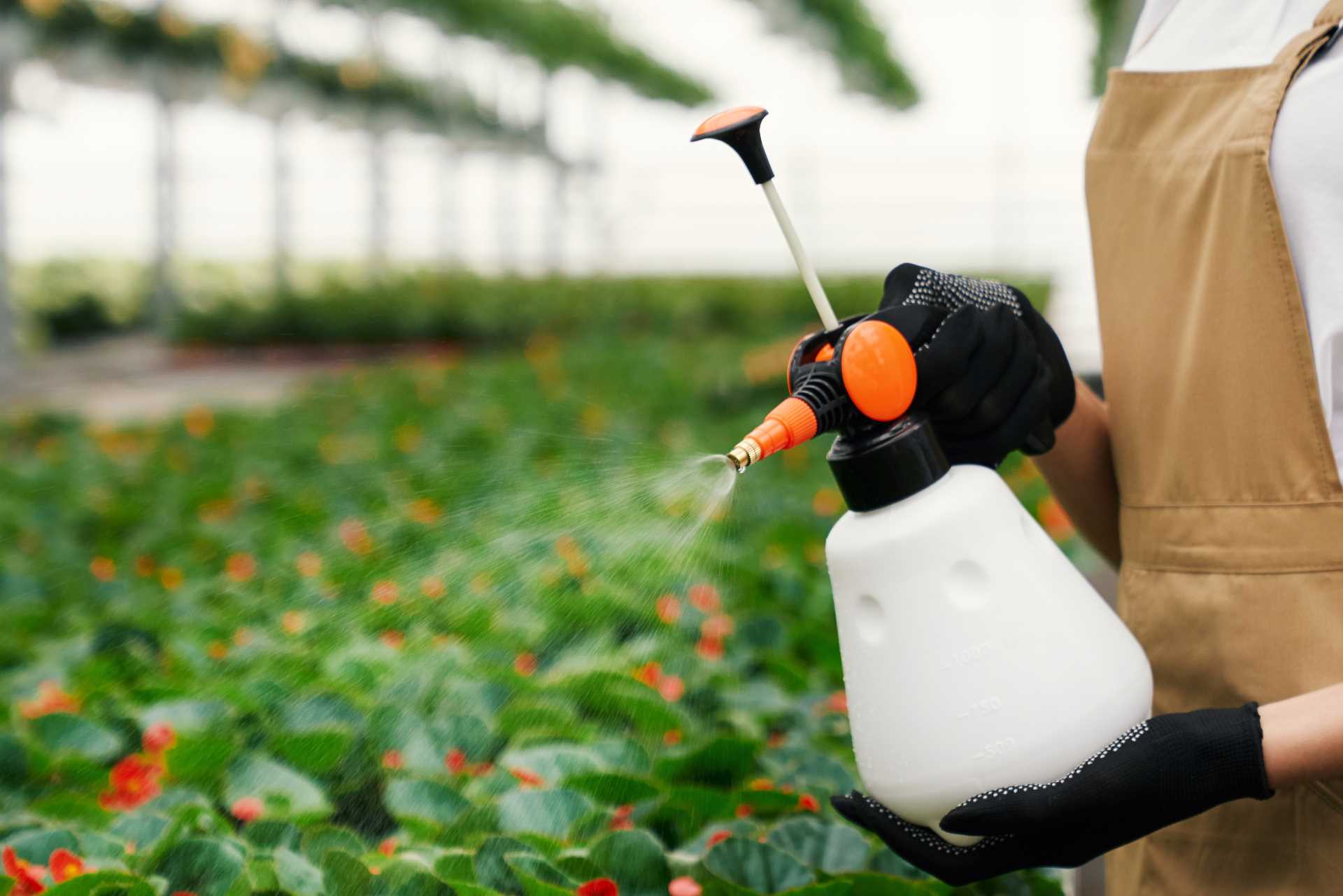 MEDIOS Y PRODUCTOS PARA EL CONTROL DE PLAGAS